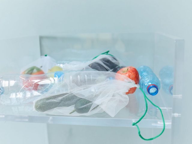 Quel sac de congélation réutilisable choisir