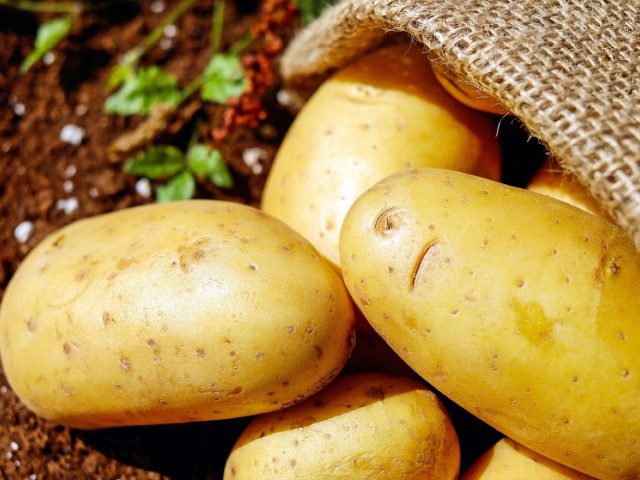 Stockage durable des légumes-racines : conserver sans perte