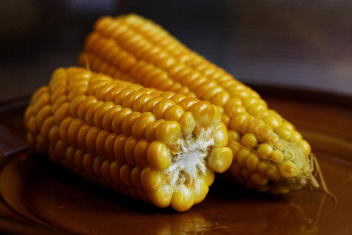 Meilleure méthode pour conserver légumes cuits: frigo ou congélo