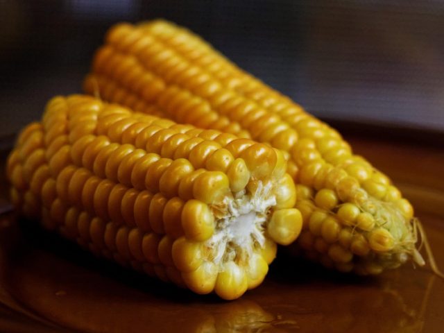 Meilleure méthode pour conserver légumes cuits: frigo ou congélo